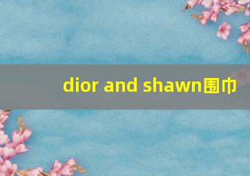 dior and shawn围巾